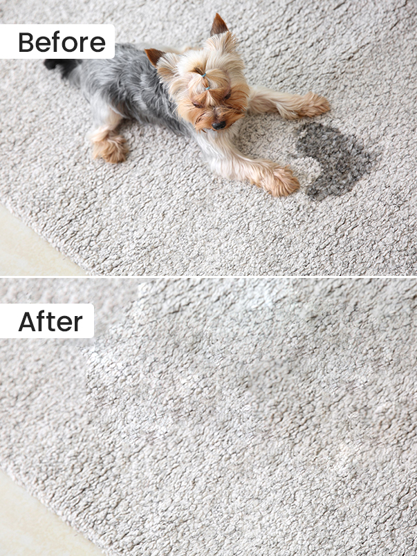 Before After